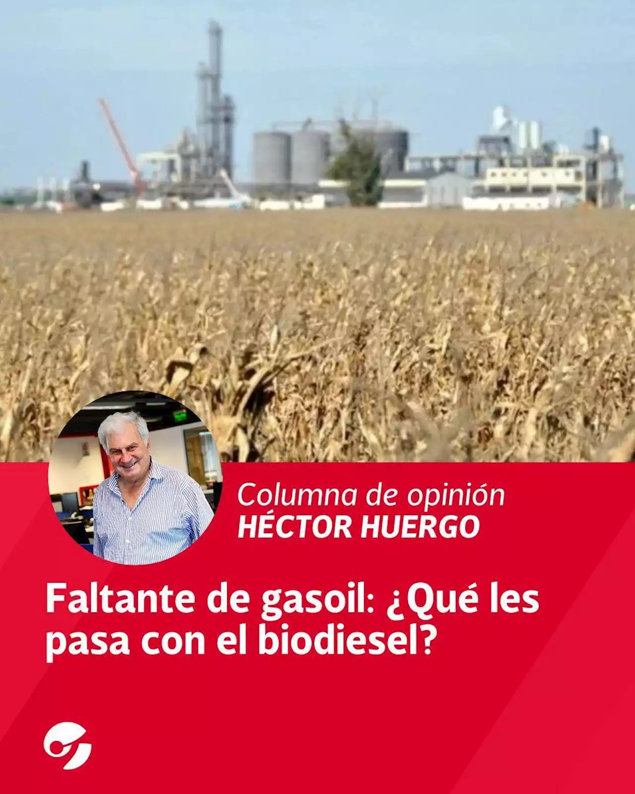 Faltante de gasoil: ¿Qué les pasa con el biodiesel?