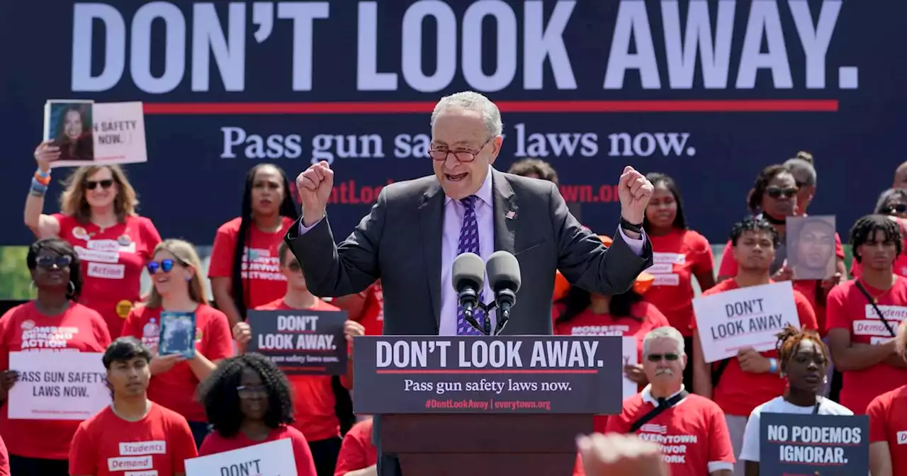 Senate bargainers announce outline of gun violence agreement