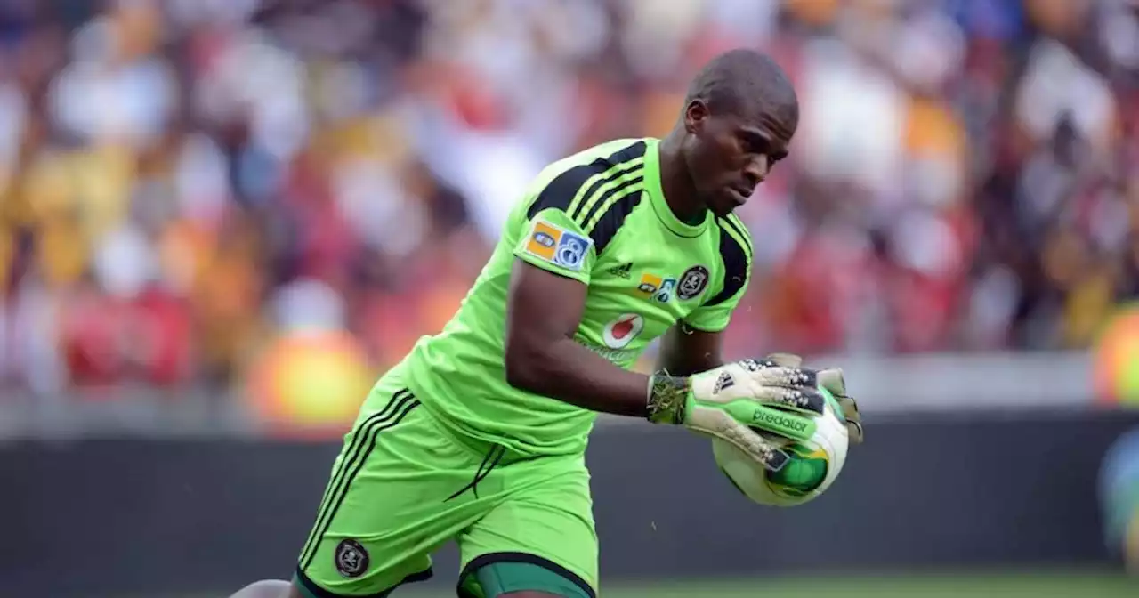 Meyiwa Murder Trial | The curious case of the second docket