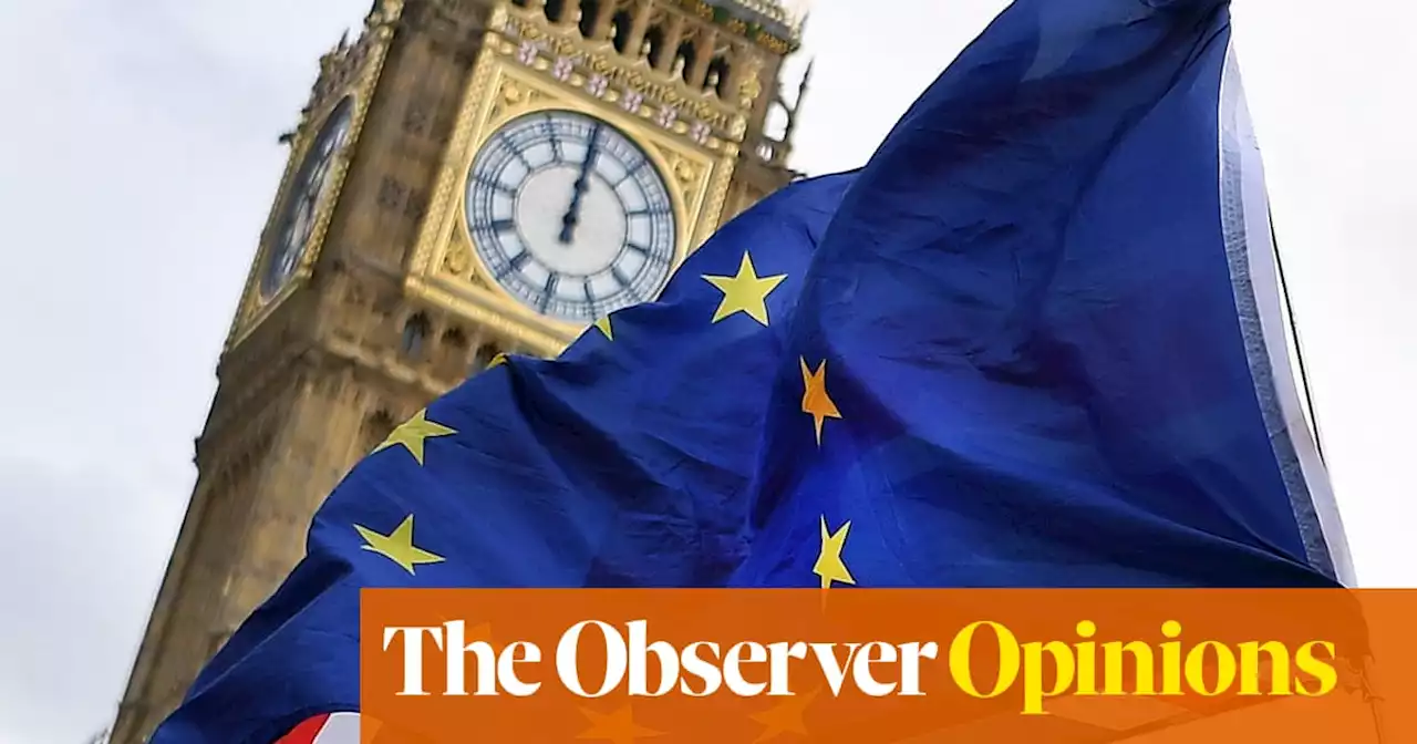 With Brexit, the UK has achieved the gold standard of self-harm | William Keegan