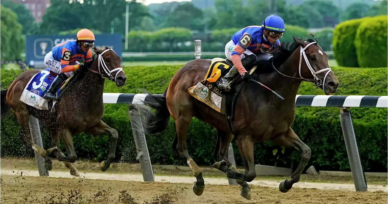 Mo Donegal finishes first at Belmont Stakes