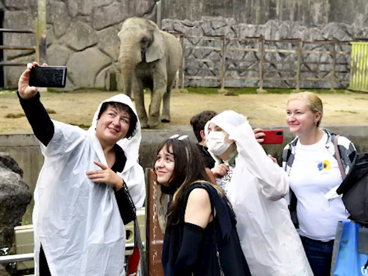 ウクライナ避難民５０家族、動物園に招待「息子が心から楽しむ姿見られた」 - トピックス｜Infoseekニュース