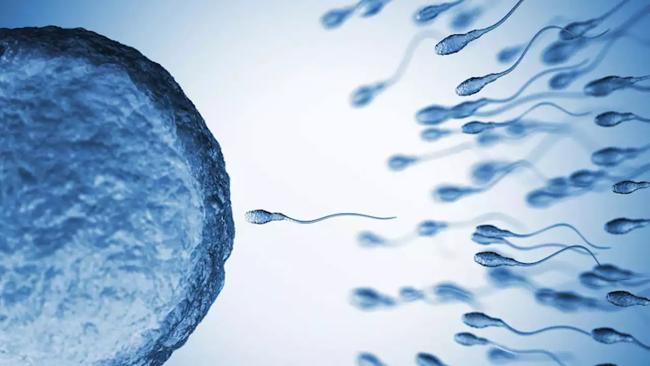 Latest study reveals that two male contraceptive pills could expand options for birth control