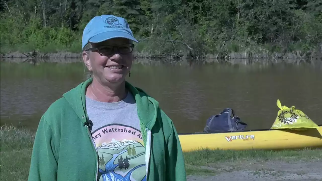 Volunteers undertake stream cleaning at Noyes Slough, Chena River