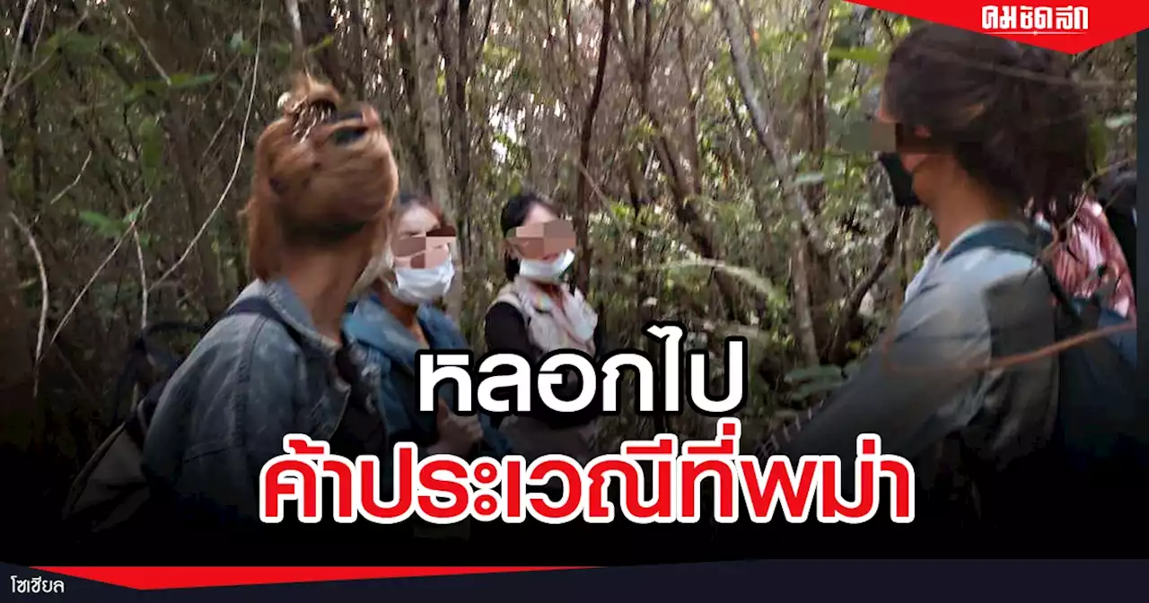 เพจดังเตือนภัย 'สาวไทย' โดนหลอกไปค้าประเวณี บางคนหนีเข้าป่าหายสาบสูญ