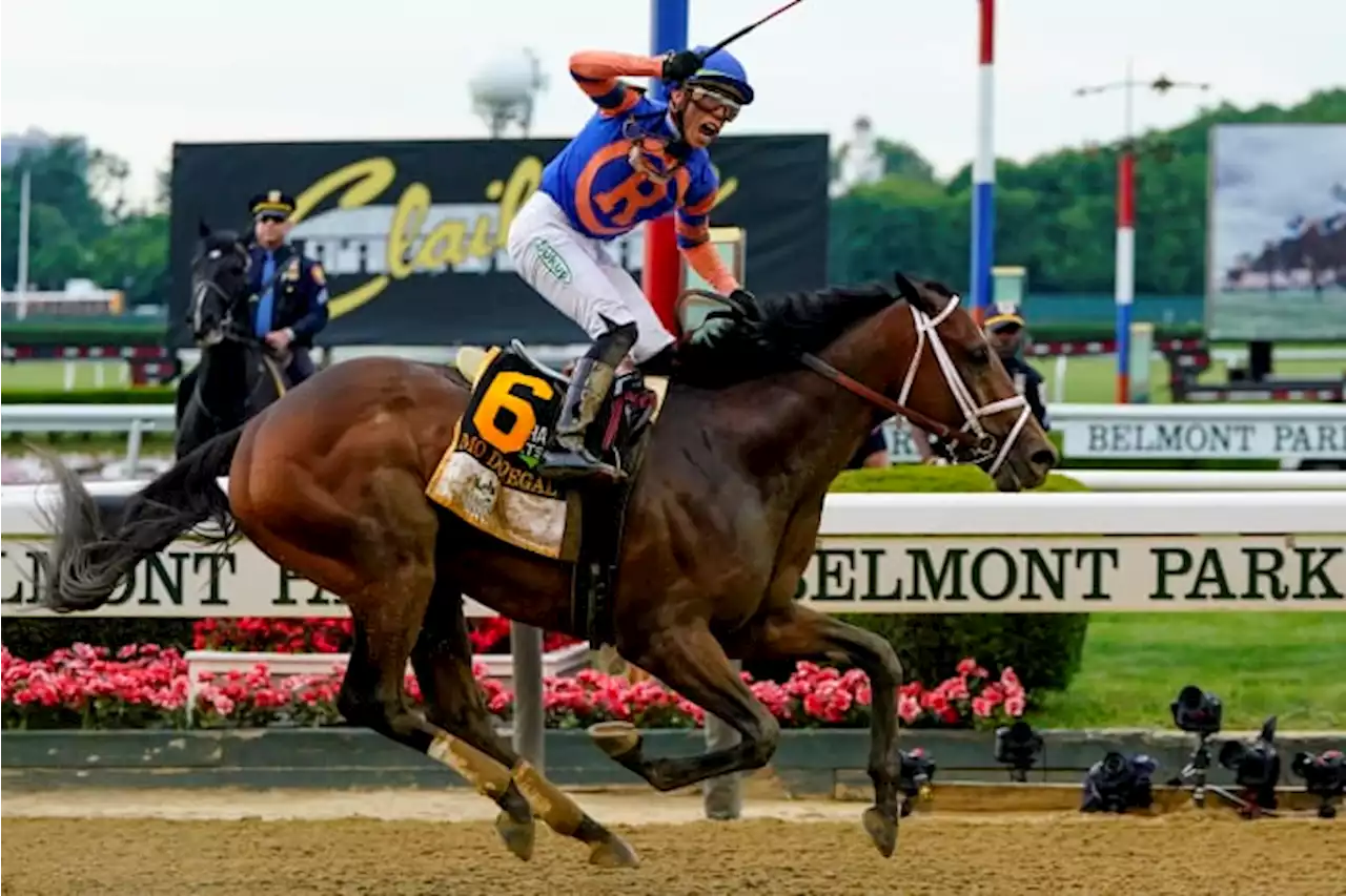 Mo Donegal finishes 1st at Belmont, another Pletcher win