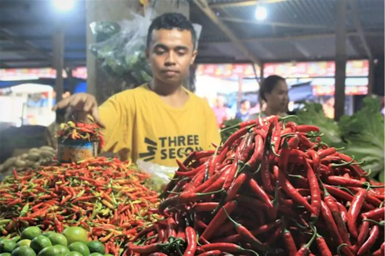 Harga Cabai di Kupang masih Tinggi