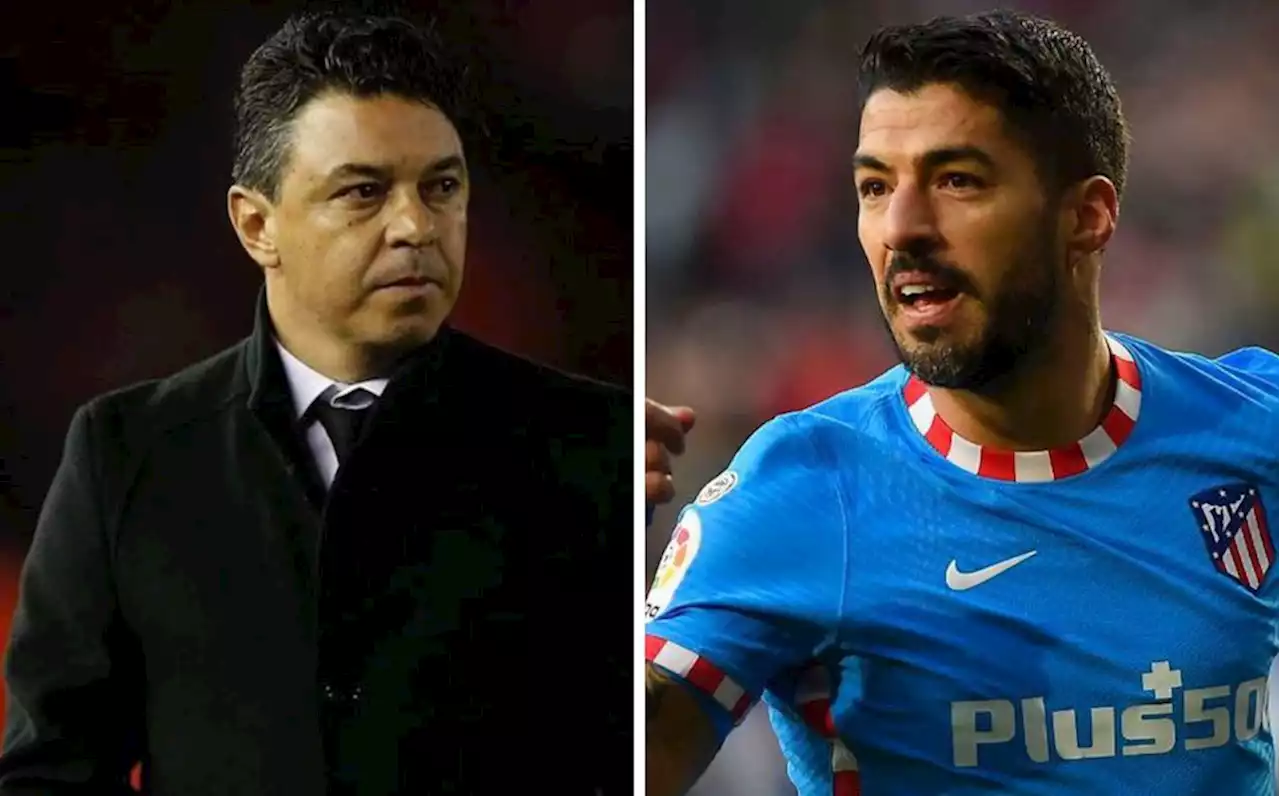 Marcelo Gallardo confirma contacto entre River Plate y Luis Suárez