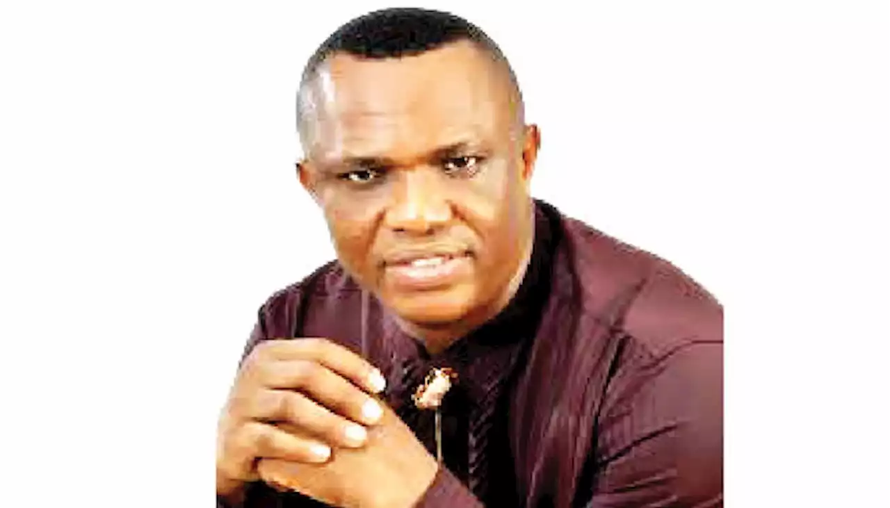 PDP should beg Wike to be Atiku’s running mate –Senator Wogu - Punch Newspapers