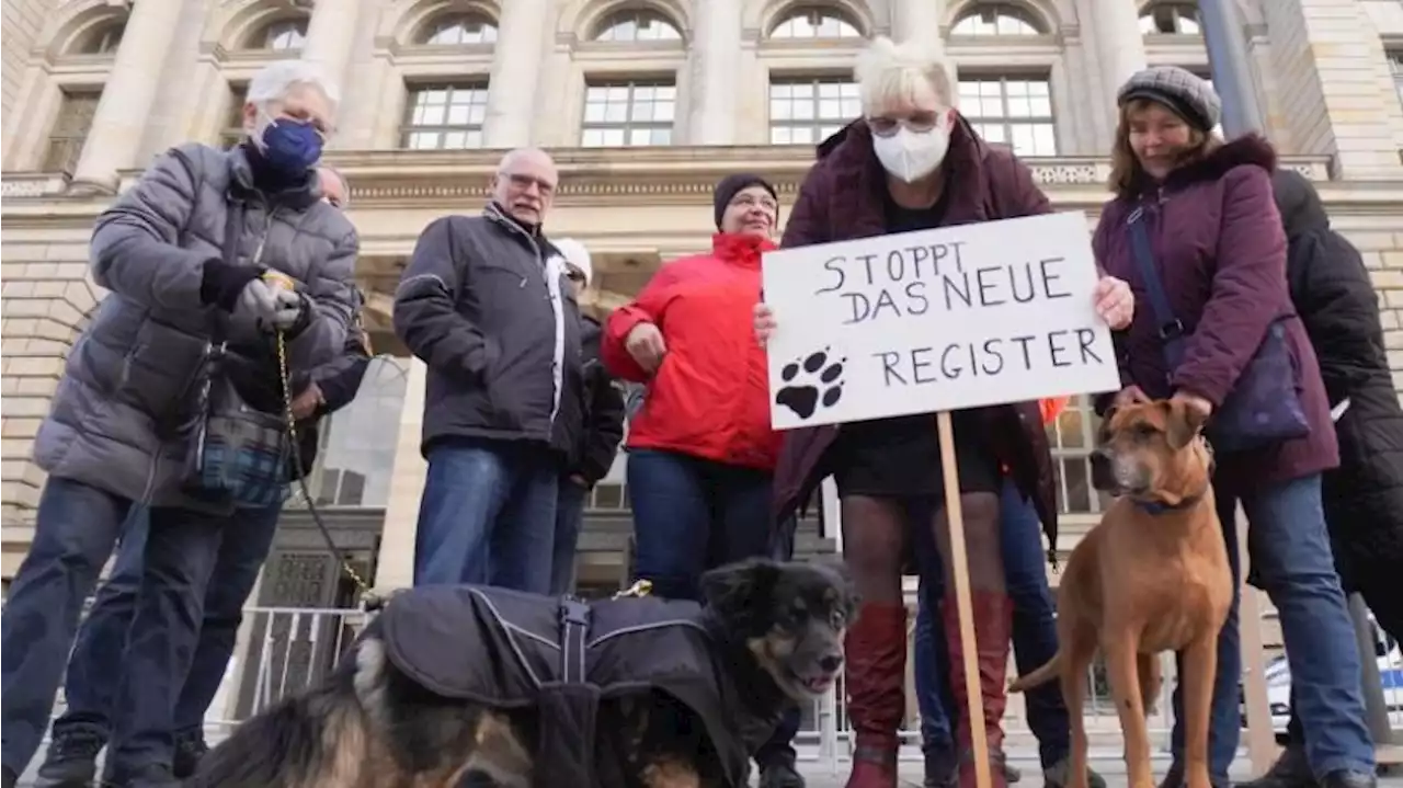 Hunderegister Berlin: FDP will Hunde-Kataster abschaffen