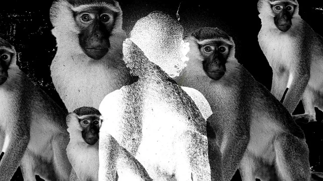 The Very Alive Woman Conspiracy Nuts Say Died of Monkeypox