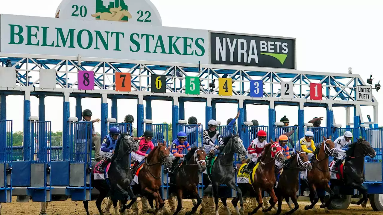 Photos: Scenes from the Belmont Stakes