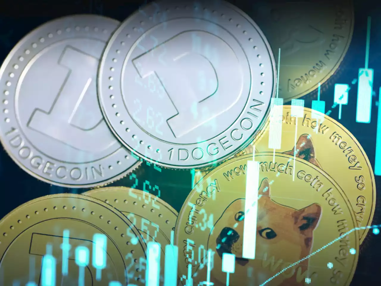 2021 Dogecoin Millionaire Agrees He's 'An Exception' But Hasn't Sold Any DOGE