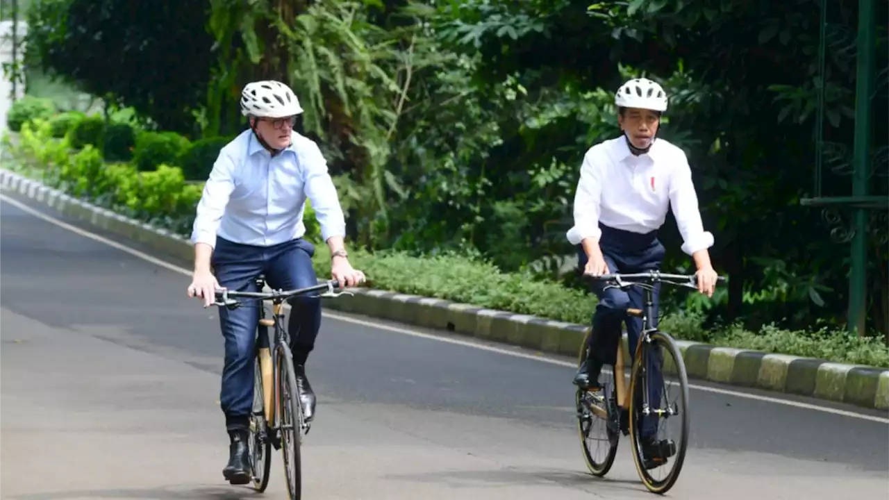 Spedagi: Kisah di Balik Sepeda Bambu Presiden Jokowi