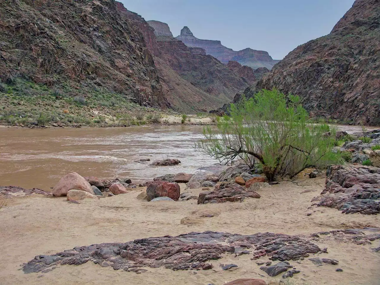 Tennessee woman dies after falling into Colorado River at Grand Canyon