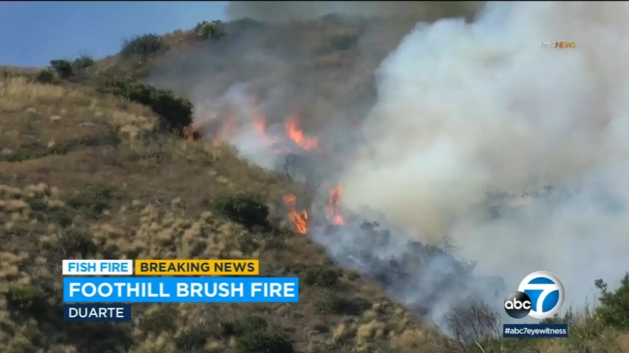 LA County firefighters working to control brush fire burning in Duarte