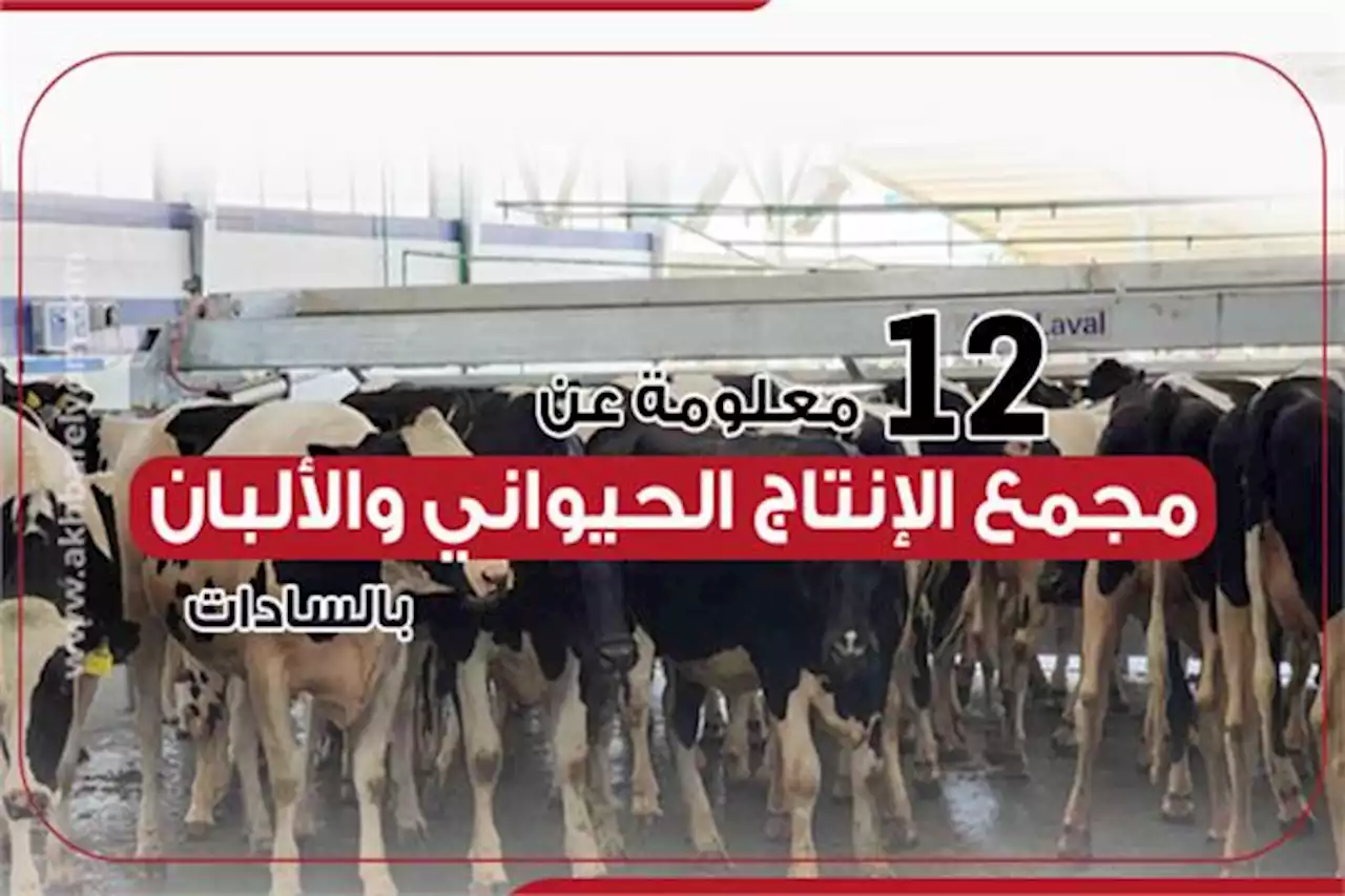 إنفوجراف | بالأرقام.. 12 معلومة عن مجمع الإنتاج الحيواني والألبان بالسادات
