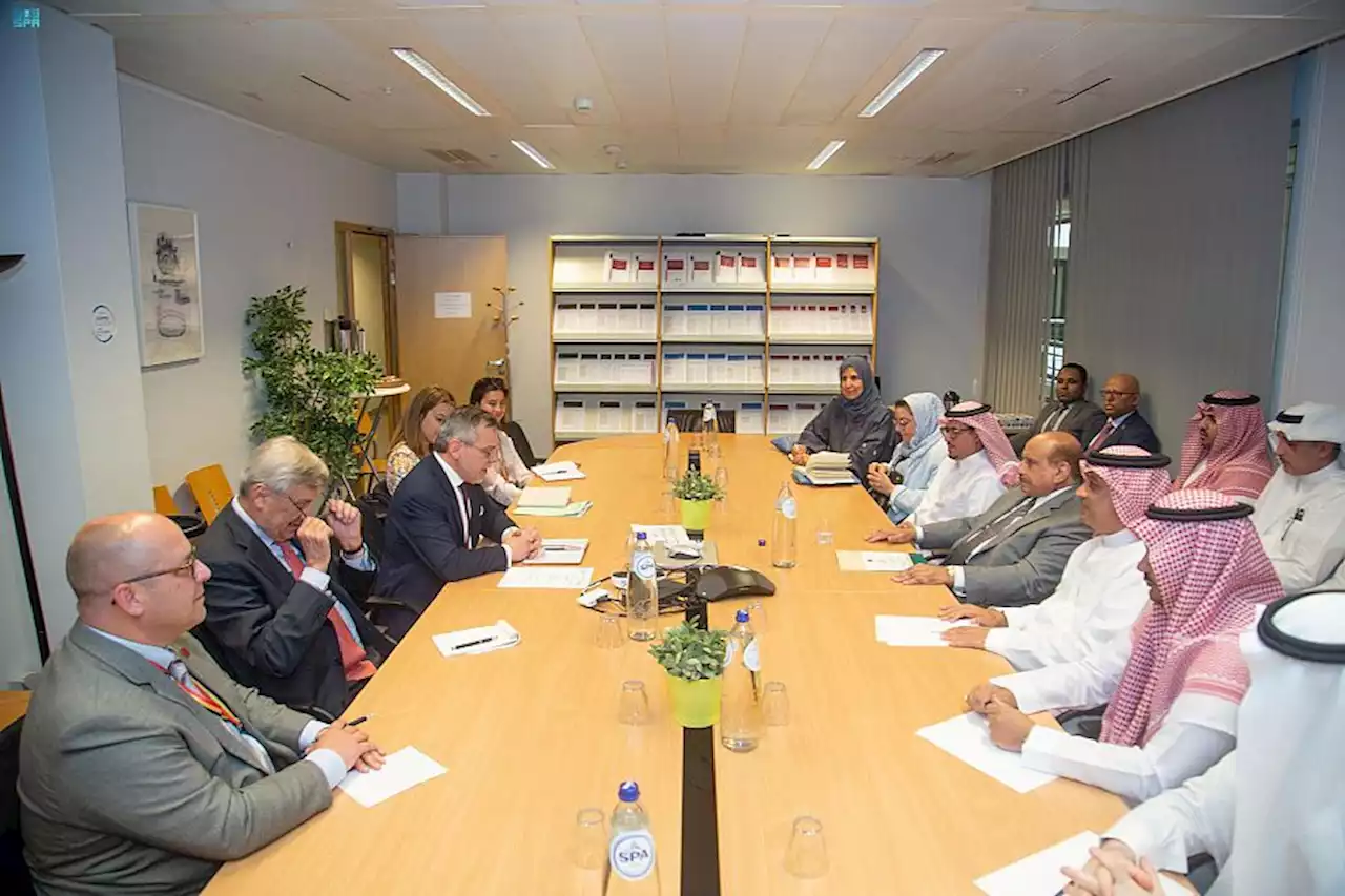 لجنةُ الصداقةِ البرلمانية السعودية البلجيكية في الشورى تلتقي بمسؤولين في الخارجية البلجيكية والمعهد الملكي للعلاقات الدولية