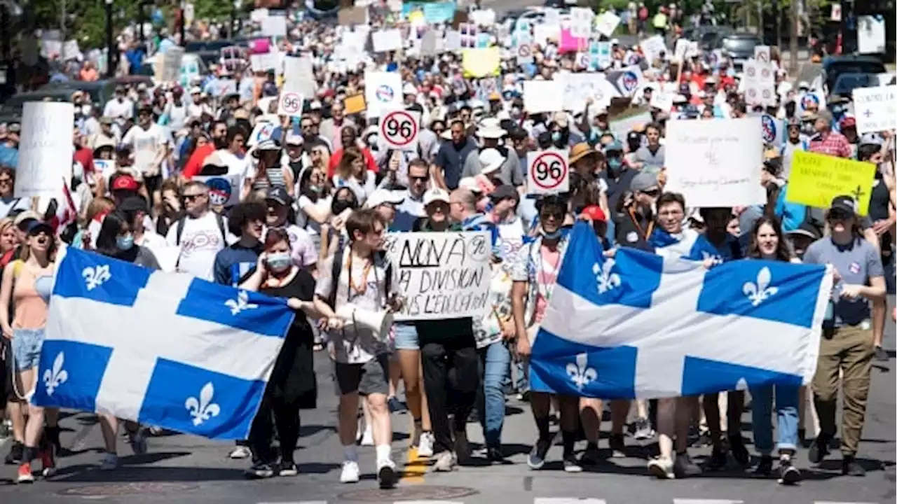 Learn French in 6 months? Quebec-commissioned report shows why that's nearly impossible | CBC News