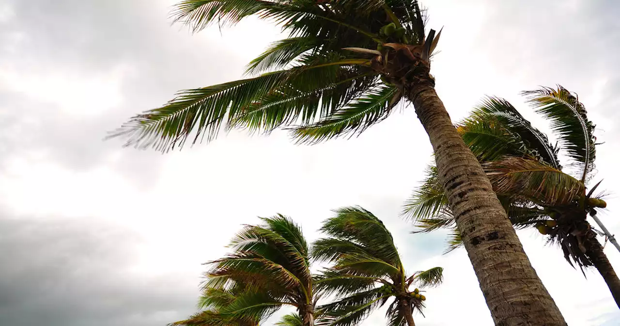 Wind advisory in effect for LA County through Monday