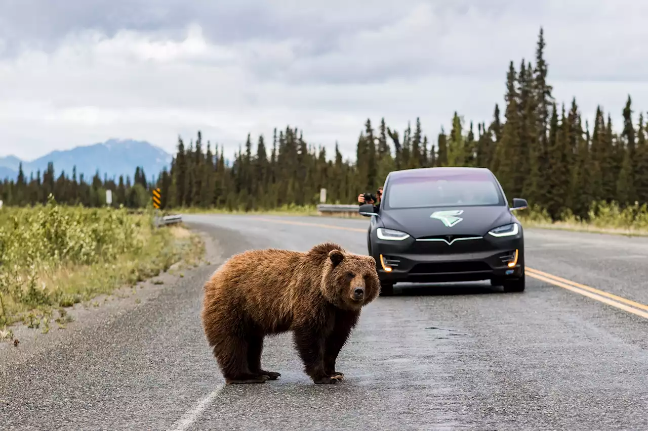 Electric Americas Foundation Is Filming A Documentary Driving The Pan-American Highway In 2 Tesla EVs