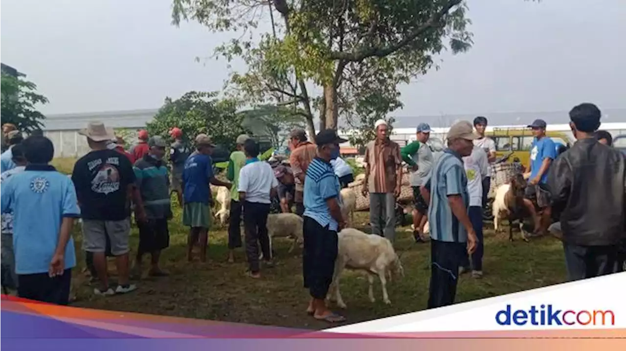 Pasar Ditutup, Pedagang Kambing Klaten Nekat Jualan di Tepi Jalan