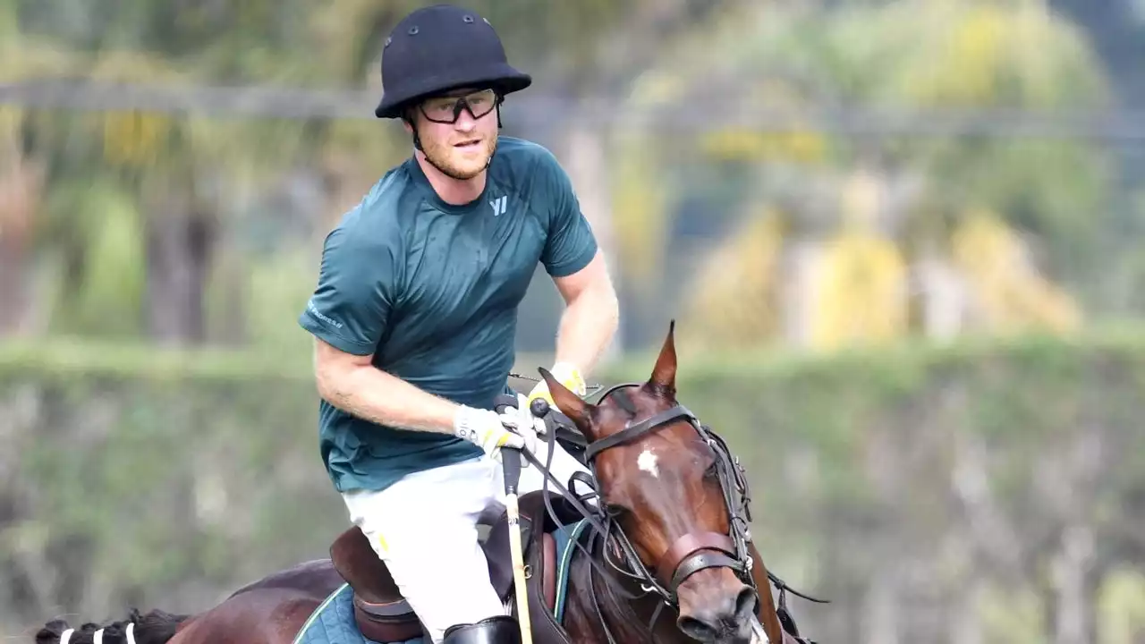 Prince Harry Falls Off His Horse During Polo Match: PICS