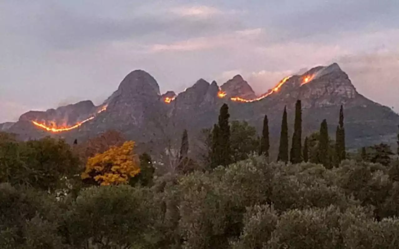 Lourensford fire under control - Cape Winelands District Municipality