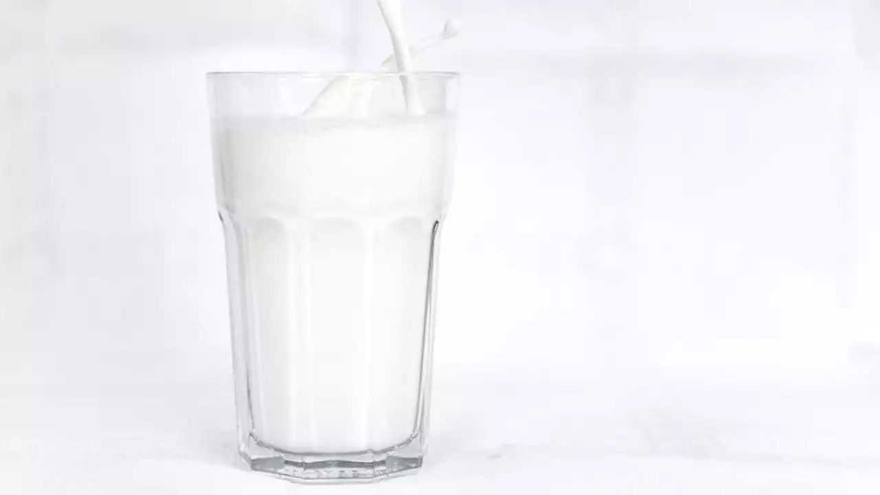 Drinking milk can increase risk of developing prostate cancer, study finds