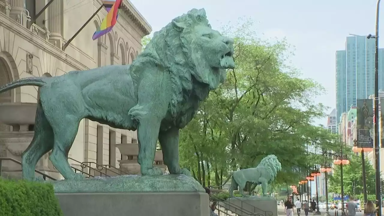 Art Institute lions to be deep-cleaned for first time in 21 years