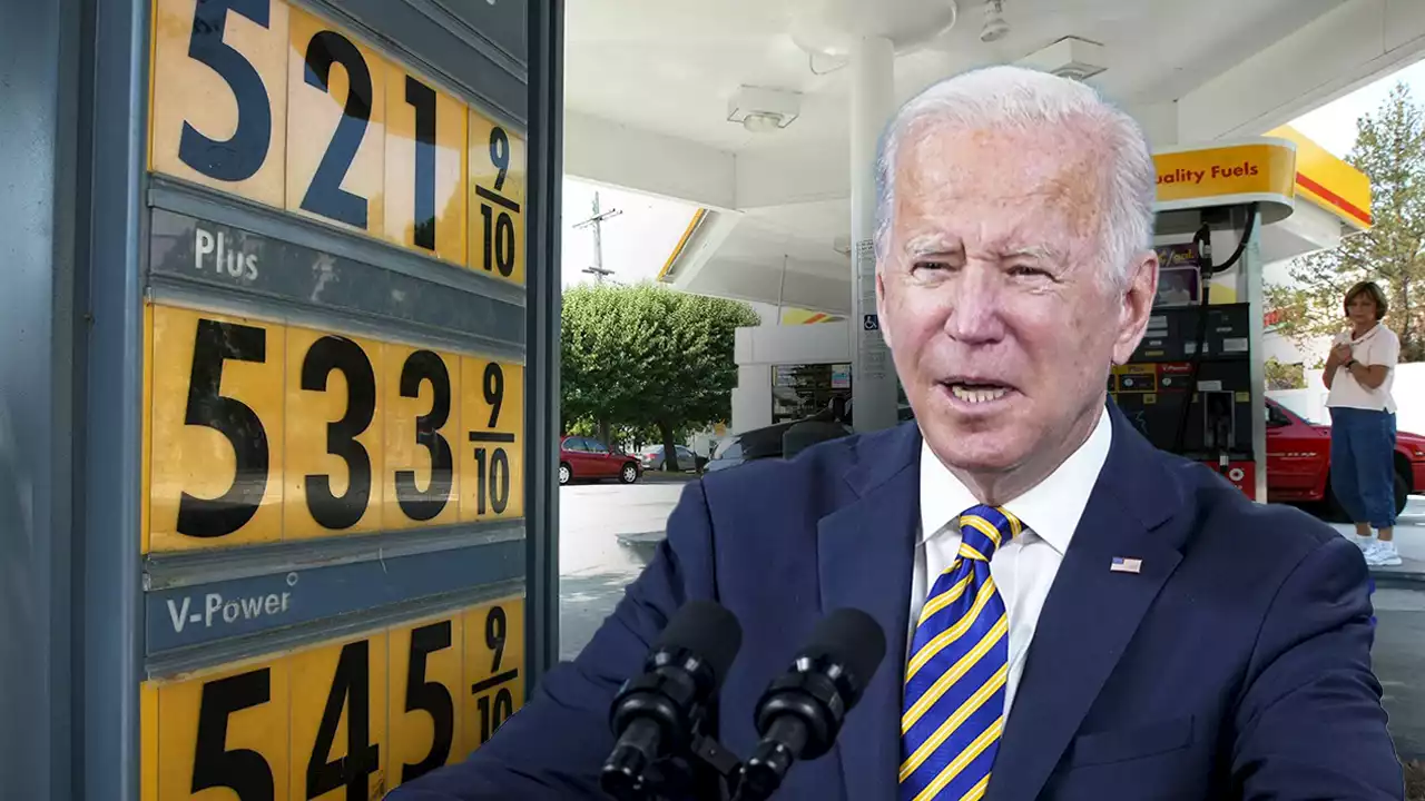 Twitter slams commerce secretary's claim that Biden is 'very serious' about bringing down gas prices