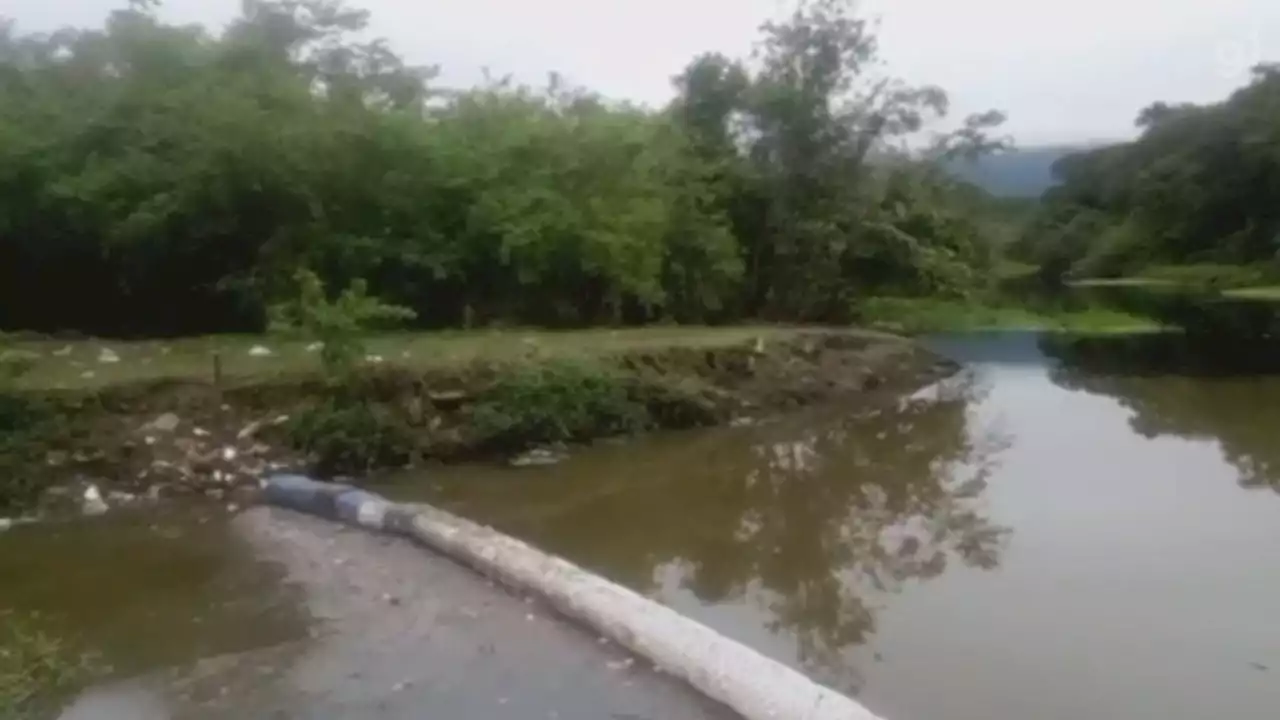 Homem cria barreira ecológica para retirar lixo de rio onde aprendeu a nadar na infância; VÍDEO