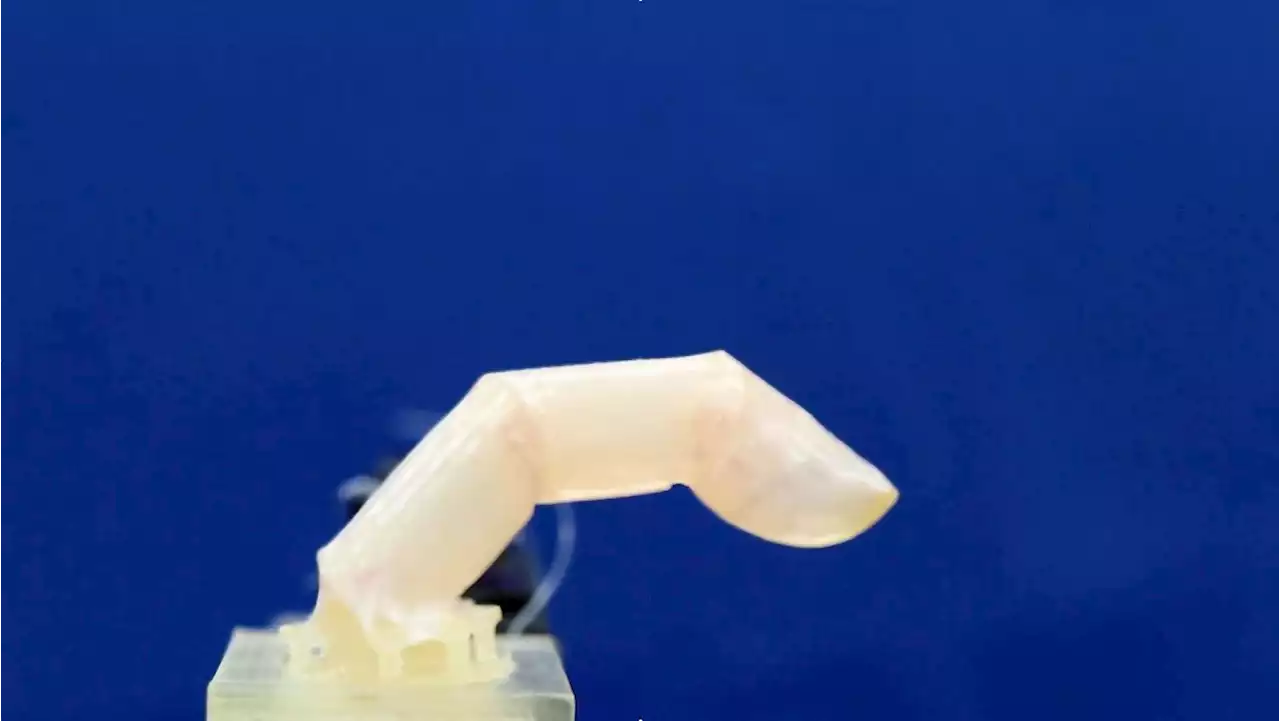 Scientists create living human skin for robots