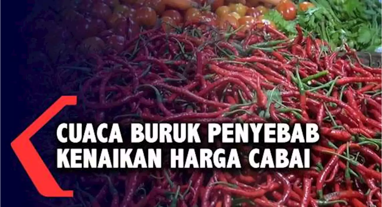 Cuaca Buruk Penyebab Kenaikan Harga Cabai