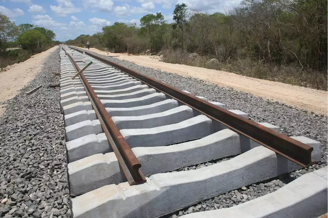 Carece Fonatur de MIA general de los siete tramos del Tren Maya