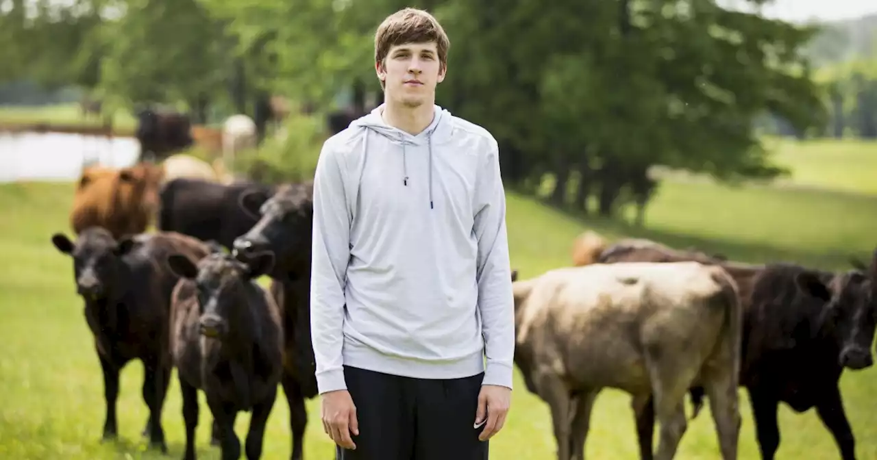 Austin Reaves: His rise from Arkansas farm to Lakers fame