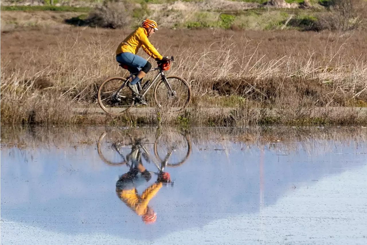 12 Hayward community projects get funding through People’s Budget