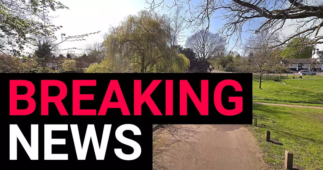 Police trying to identify man whose body was found on fire in London park