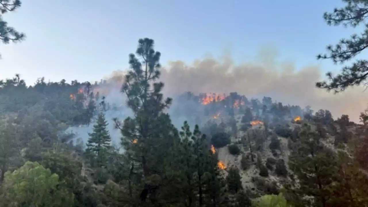 Evacuations Ordered for ‘Sheep Fire' Burning 150 Acres Near Angeles National Forest