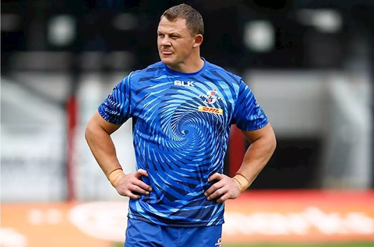 Who are the 8 uncapped Boks that will do battle this season and what do they bring? | Sport