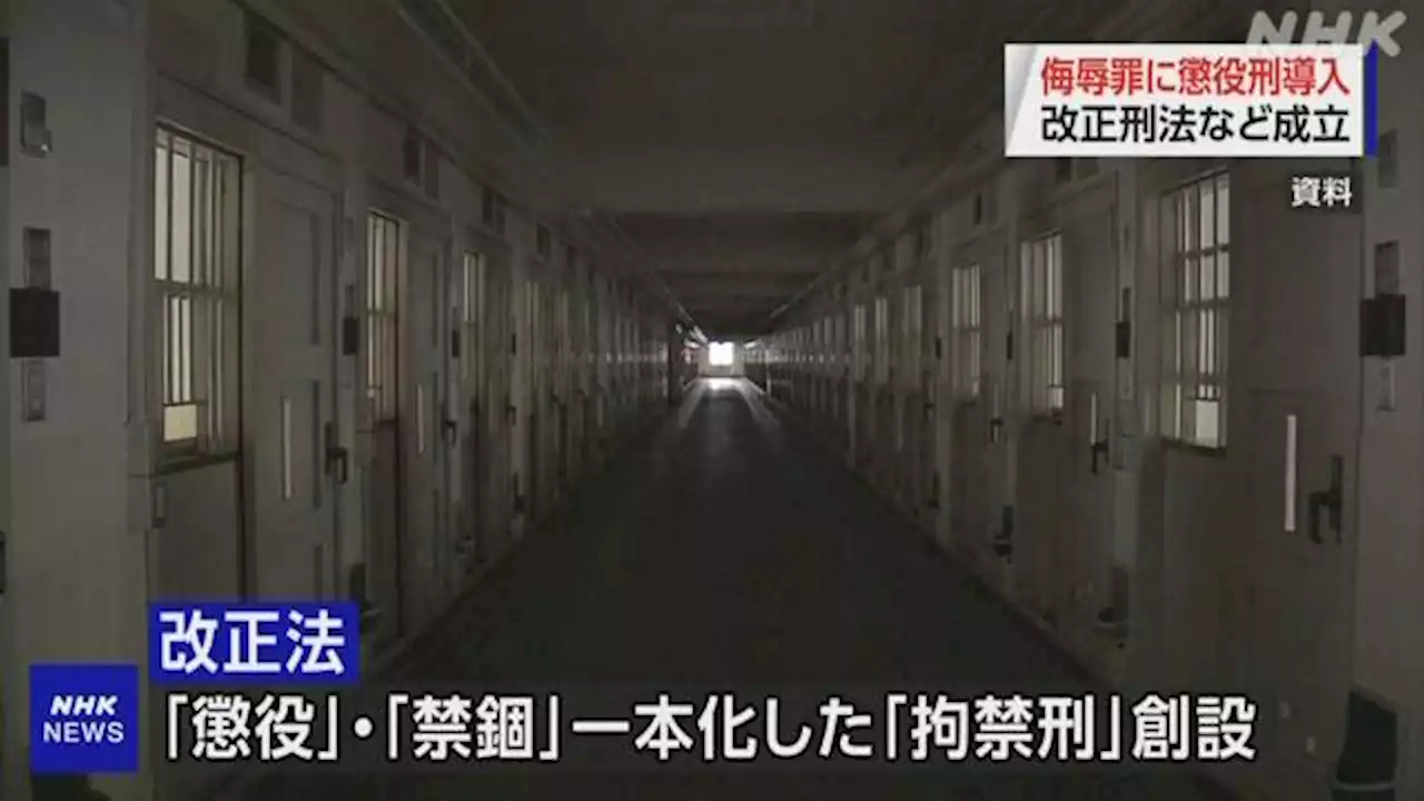 “懲役”と“禁錮”一本化した「拘禁刑」創設 改正刑法成立 | NHK