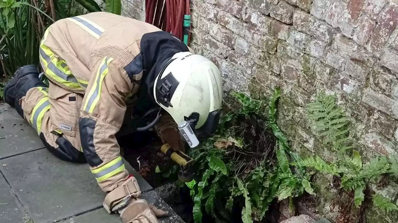 Les pompiers de Bruxelles secourent une femme tombée dans une fosse de dix mètres