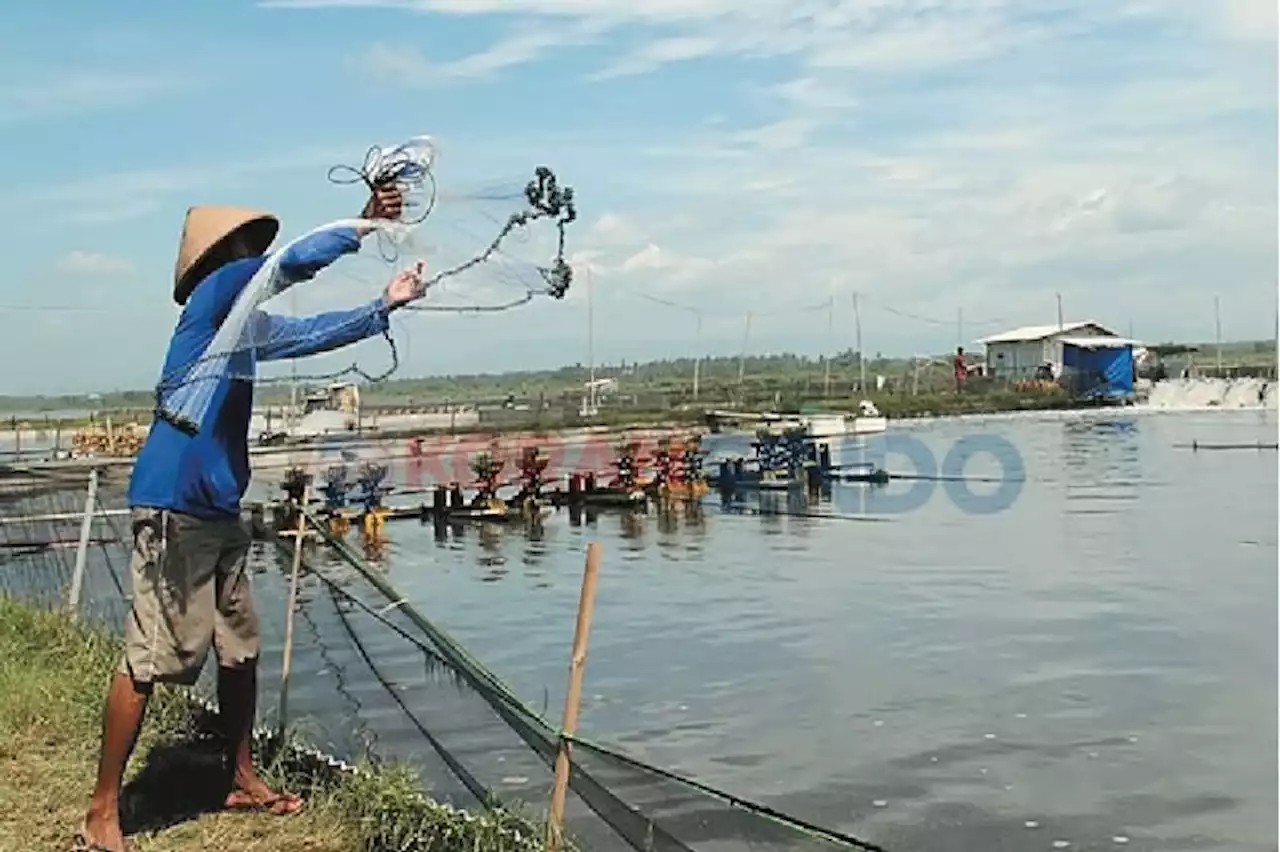 Pemerintah Permudah Pembudi Daya Ikan Peroleh Sertifikat Tanah