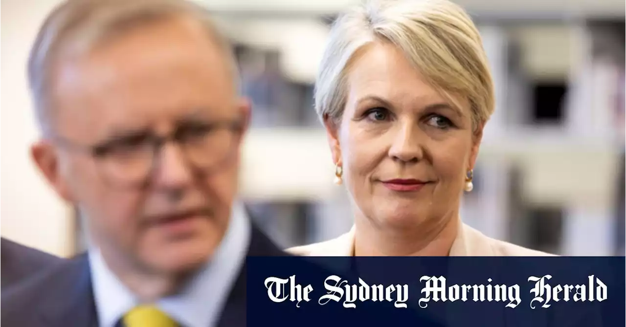 Plibersek faces major challenges as environment minister