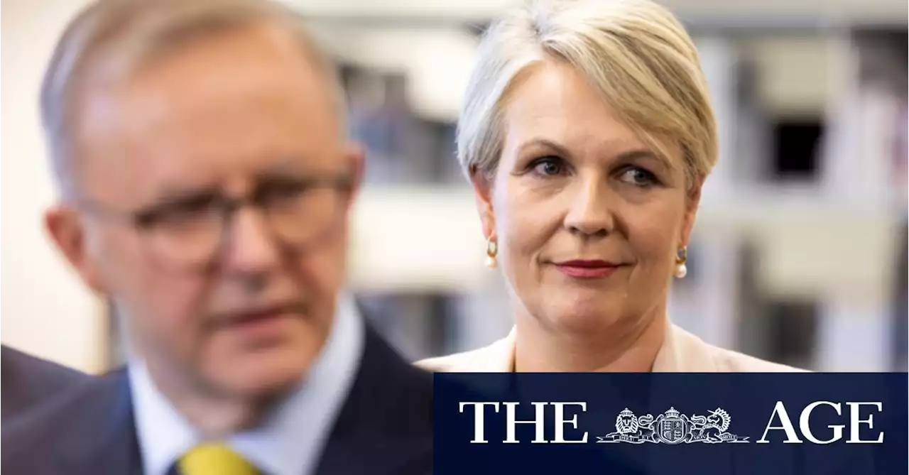 Plibersek faces major challenges as environment minister