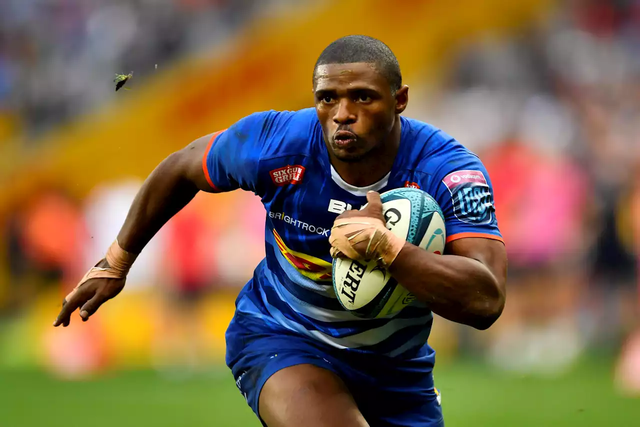 Hunt for Bok places to highlight URC final between Stormers and Bulls | The Citizen