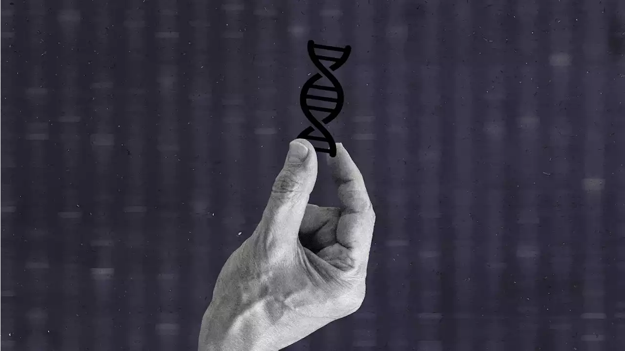 The Simple Antidote to the Poisonous ‘Race Science’ Revival