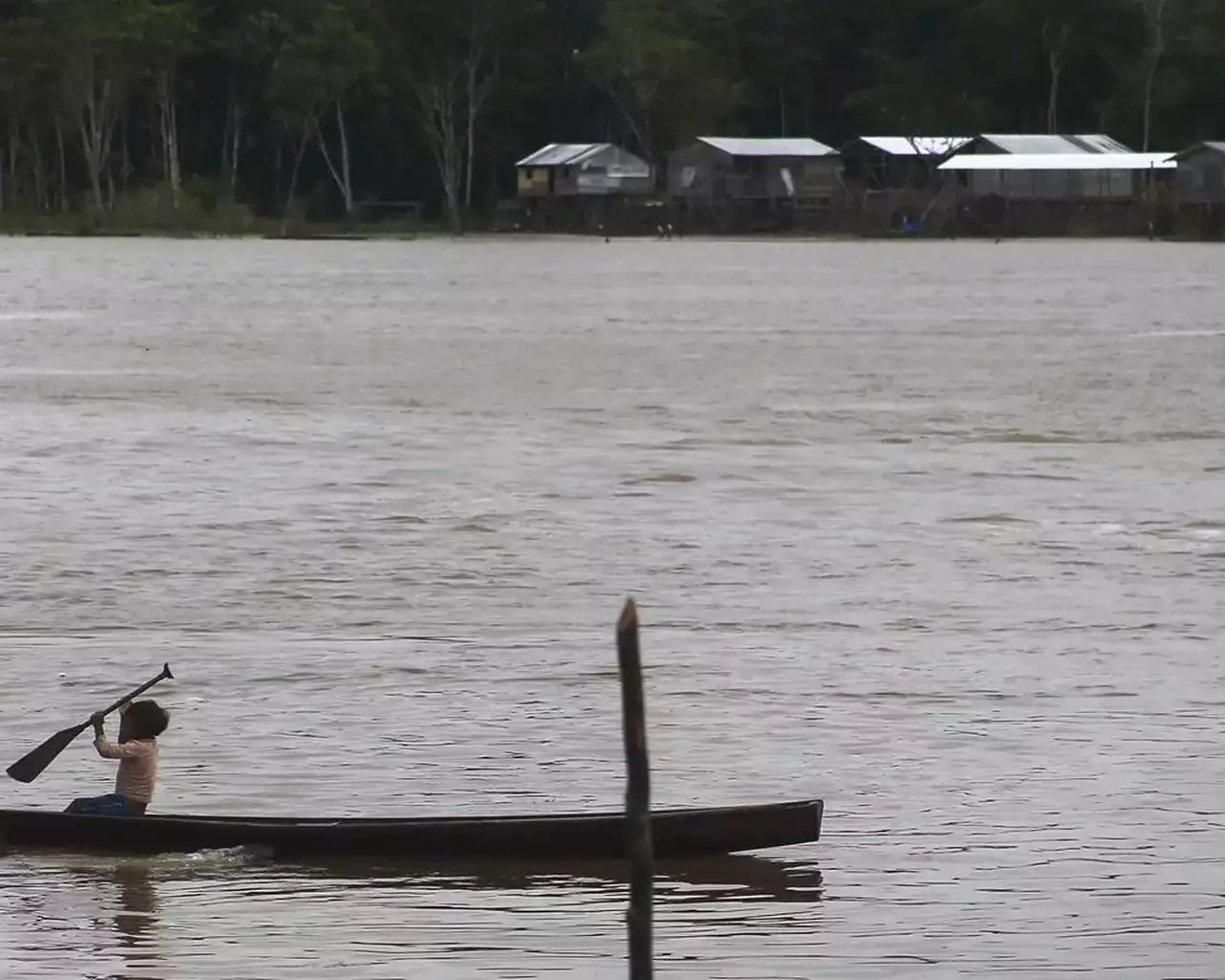 Items owned by missing men found in Amazon, Brazilian police say