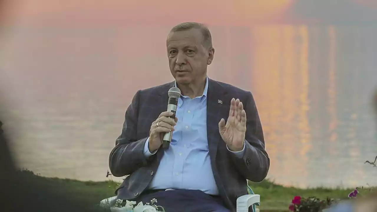 أردوغان: سأبحث مع بوتين وزيلينسكي الأسبوع القادم ممر نقل الحبوب