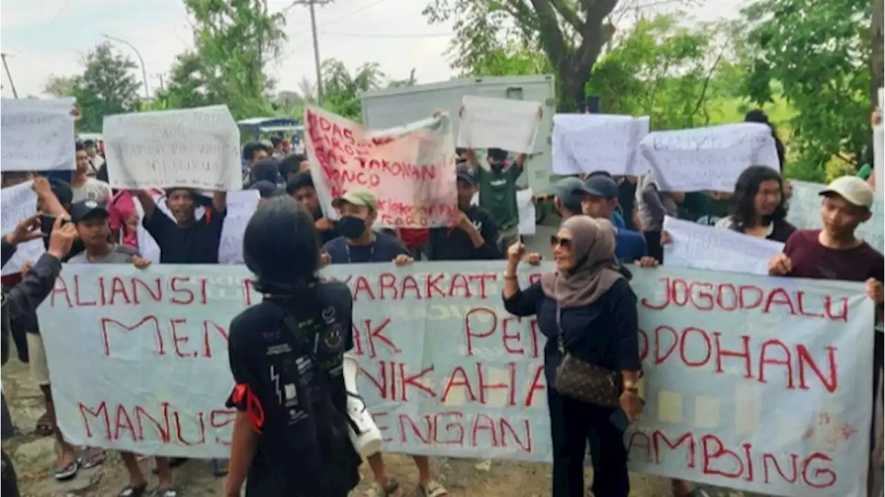 Warga Jogodalu Gresik Bergolak! Gelar Demo Besar-besaran di TKP Manusia Menikah dengan Kambing